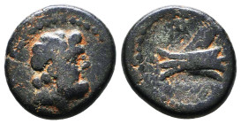 Greek Coins. 4th - 1st century B.C. AE
Reference:
Condition: Very Fine

Weight :3.6 gr
Height :15.2 mm