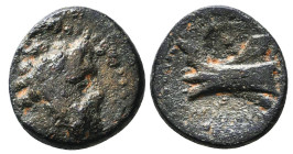 Greek Coins. 4th - 1st century B.C. AE
Reference:
Condition: Very Fine

Weight :2.9 gr
Height :14.5 mm