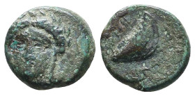 Greek Coins. 4th - 1st century B.C. AE
Reference:
Condition: Very Fine

Weight :1.7 gr
Height :11.3 mm