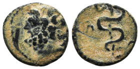 Greek Coins. 4th - 1st century B.C. AE
Reference:
Condition: Very Fine

Weight :2.1 gr
Height :14 mm