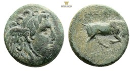 Seleucid Kingdom, Seleukos I 312- 281 BC, AE15, 2,32g: Obv: Winged head of Medusa right, Rev: Bull butting right.