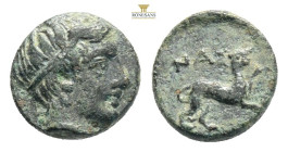 LESBOS. Nesos. Ae (4th century BC). 0,72 g. 8,3 mm. Obv: Laureate head of Apollo right. Rev: NAΣΙ. Panther crouching right, head left. Stauber, Adramy...