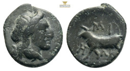 MYSIA. Miletopolis. Ae (4th century BC). 1,2 g. 13,3 mm.
Obv: Laureate head of Apollo right; below, tunny right.
Rev: MIΛH (partially retrograde). Bul...