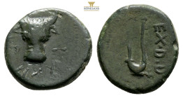 Kings of Paphlagonia, AE Bronze 2,2 g. 14,3 mm. 
Obv: Facing head of a bull. 
Rev: EX. D.D