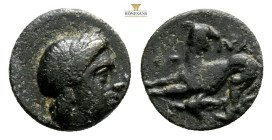 LESBOS. Nesos. Ae (4th century BC). 0,64 g. 9,3 mm. Obv: Laureate head right. Rev: NA. Panther springing left; grain ear below. Stauber, Adramyttium, ...