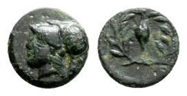 AIOLIS, Elaia (Circa 350-300 BC).
AE Bronze(10.8mm, 1.31g)
Helmeted head of Athena to left / Barley-grain, Ε-Λ across fields; all within wreath.
SN...