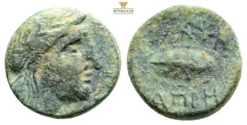 AEOLIS. Gyrneion. Drachm (Circa 4th-3rd centuries BC). AE 3,6 g. 16 mm.
Obv: Laureate head of Apollo right.
Rev: Mussel shell.
