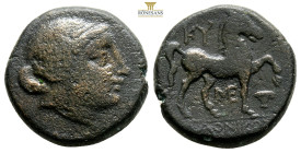 Aiolis. Kyme circa 250-200 BC. ΛΑΟΝΙΚΟΣ (Laonikos), magistrate
Bronze Æ, 20,2 mm, 8,9 g
Head of Amazon Kyme right / KY/ [Λ]ΑΟΝΙΚΟ[Σ], horse right, M...