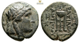 Seleukid Kings of Syria, AntiochosII Theos (261-246 BC). AE Sardes.
Obv: Laureate head of Apollo right.
Rev: ΒΑΣΙΛΕΩΣ ΑΝΤΙΟΧΟΥ, Tripod. Controls: to o...