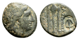 SELEUKID KINGDOM. Antiochos II Theos (261-246 BC). Ae. (20,4 mm, 5,6 g.)