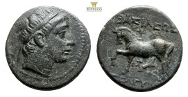 SELEUKID KINGDOM. Antioch. Seleukos II Kallinikos (Circa 246-226 BC). AE Bronze (17.6mm, 3,68 g)
Diademed head of Seleukos to right / ΒΑΣΙΛΕΩΣ ΣΕΛΕΥΚΟ...