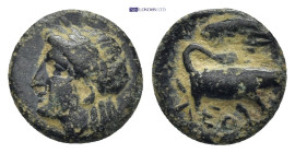 Greek coin ( 1.06g 10mm)