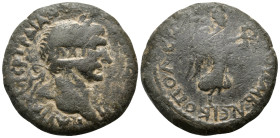PONTUS. Nicopolis ad Lycum. Trajan, 98-117. (Bronze, 22 mm, 7.57 g, 11 h), year 42 = 112-113. ΑΥΤ ΚΑΙC ΝƐΡ ΤΡΑΙΑΝΟϹ ϹƐΒ ΓƐΡΜ ΔΑΚ ΤΟ ϚΙ Laureate head o...
