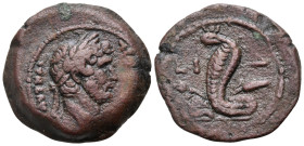 EGYPT. Alexandria. Hadrian, 117-138. Obol (Bronze, 19 mm, 5.59 g, 12 h), year 14 = 129-130. ΑΥΤ ΚΑΙ ΤΡΑΙ ΑΔΡΙΑ CEΒ Laureate head of Hadrian to right. ...