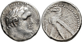 PHOENICIA. Tyre. 126/5 BC-AD 65/6. Shekel (Silver, 23 mm, 14.26 g, 12 h), CY 130 = AD 4/5. Laureate head of Melkart to right, lion skin tied around ne...