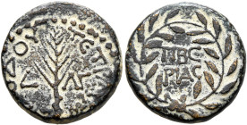 JUDAEA, Herodians. Herod III Antipas, 4 BCE-39 CE. Half Unit (Bronze, 19 mm, 5.60 g, 12 h), Tiberias, Year 33 = 29/30 CE. [HPW]ΔΟΥ TETP[APXOY] Palm fr...