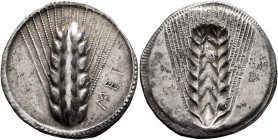 LUCANIA. Metapontion. Circa 540-510 BC. Stater (Silver, 29 mm, 8.05 g, 12 h). MET Ear of barley with six grains; around, border of dots within two con...