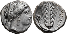 LUCANIA. Metapontion. Circa 340-330 BC. Didrachm or Nomos (Silver, 18 mm, 7.75 g, 7 h). Head of Demeter to right, wearing wreath of grain ears, pendan...