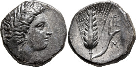 LUCANIA. Metapontion. Circa 330-290 BC. Didrachm or Nomos (Silver, 20 mm, 7.64 g, 12 h). Head of Demeter to right, wearing wreath of grain ears, tripl...