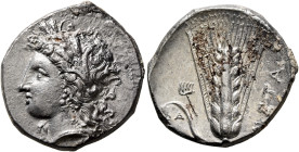 LUCANIA. Metapontion. Circa 330-290 BC. Didrachm or Nomos (Silver, 22 mm, 7.54 g, 9 h). Head of Demeter to left, wearing wreath of grain ears, triple ...