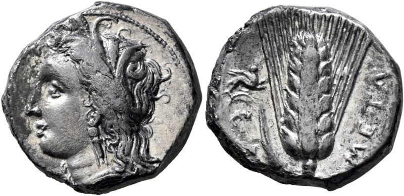 LUCANIA. Metapontion. Circa 330-290 BC. Didrachm or Nomos (Silver, 20 mm, 7.79 g...
