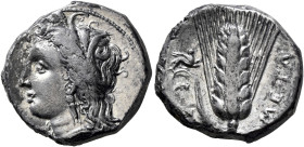 LUCANIA. Metapontion. Circa 330-290 BC. Didrachm or Nomos (Silver, 20 mm, 7.79 g, 6 h). Head of Demeter to left, wearing wreath of grain ears, triple ...