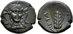 LUCANIA. Metapontion. Circa 300-250 BC. AE (Bronze, 17 mm, 4.27 g, 12 h). Head of Athena facing slightly to right, wearing triple-crested helmet. Rev....