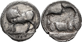 LUCANIA. Sybaris. Circa 550-510 BC. Stater (Silver, 28 mm, 8.33 g, 1 h). Bull standing left on dotted ground line, his head turned back to right; in e...
