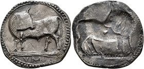 LUCANIA. Sybaris. Circa 550-510 BC. Stater (Silver, 27 mm, 6.84 g, 12 h). Bull standing left on dotted ground line, his head turned back to right; in ...