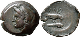 SKYTHIA. Olbia. Circa 400-350 BC. AE (Bronze, 20 mm, 5.15 g, 7 h). Head of Demeter to left, wearing wreath of grain ears. Rev. ΟΛΒΙΟ Eagle on dolphin ...