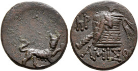 PONTOS. Amisos. Time of Mithradates VI Eupator, circa 85-65 BC. AE (Orichalcum, 17 mm, 3.86 g, 12 h). Panther standing to right, head facing, holding ...