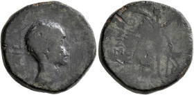BITHYNIA. Nicaea. Julius Caesar, 49-44 BC. Assarion (Bronze, 21 mm, 8.65 g, 12 h), C. Vibius Pansa Caetronianus, proconsul and governor of Bithynia et...
