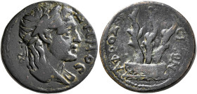 CARIA. Aphrodisias. Pseudo-autonomous issue. Diassarion (Bronze, 25 mm, 9.49 g, 12 h), time of Severus Alexander, circa 230-235. ΔHMOC Laureate and dr...