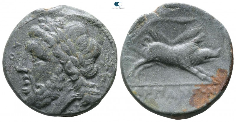 Apulia. Arpi 325-275 BC. 
Bronze Æ

20mm., 6,96g.



very fine