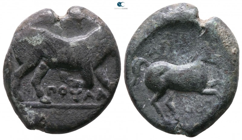 Apulia. Arpi circa 275-250 BC. 
Bronze Æ

20mm., 7,56g.



very fine