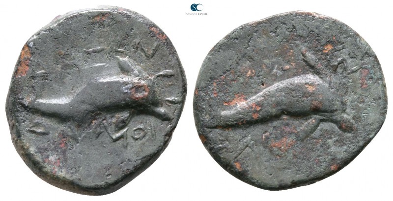 Apulia. Salapia 275-250 BC. 
Bronze Æ

15mm., 3,19g.



very fine