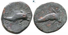 Apulia. Salapia 275-250 BC. Bronze Æ