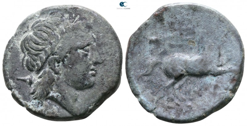 Apulia. Salapia 225-210 BC. 
Bronze Æ

20mm., 7,20g.



good fine