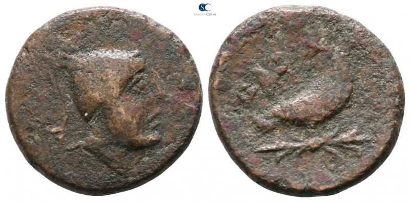 Calabria. Orra circa 250-225 BC. 
Unit Æ

16mm., 4,16g.



nearly very fi...
