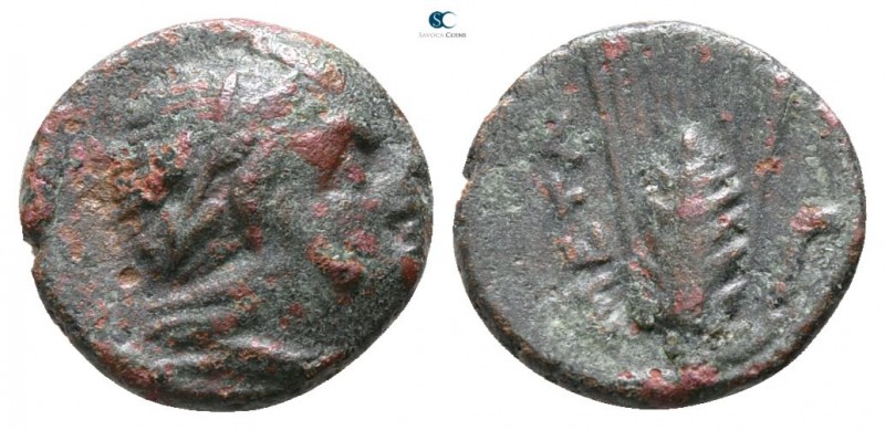 Lucania. Metapontion circa 300-250 BC. 
Bronze Æ

9mm., 1,07g.



nearly ...