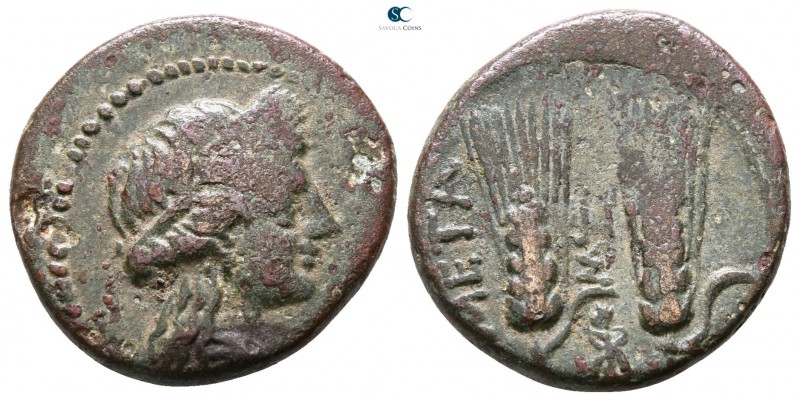 Lucania. Metapontion circa 225-200 BC. 
Bronze Æ

18mm., 4,81g.



very f...