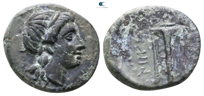 Bruttium. Rhegion circa 260-215 BC. 
Bronze Æ

12mm., 2,15g.



very fine...