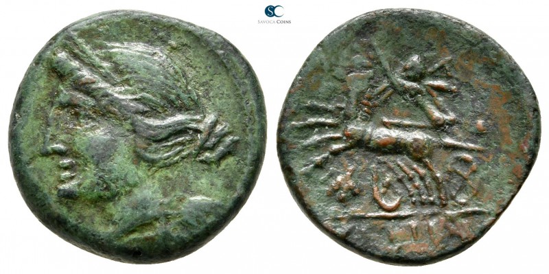 Bruttium. The Brettii 211-208 BC. 
Bronze Æ

16mm., 3,37g.



very fine