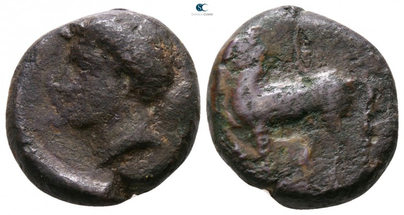 Sicily. Eryx 400-340 BC. 
Bronze Æ

15mm., 5,19g.



nearly very fine