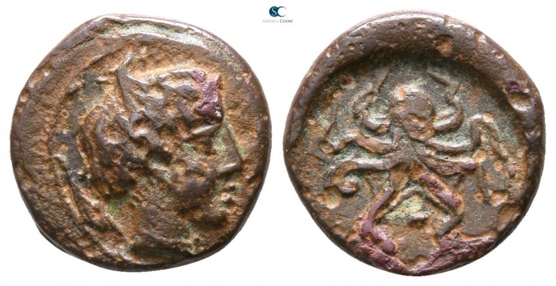Sicily. Syracuse. Second Democracy 466-405 BC. 
Bronze Æ

11mm., 1,52g.


...