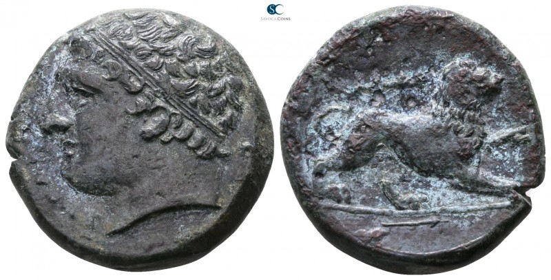 Sicily. Syracuse. Agathokles 317-289 BC. 
Bronze Æ

21mm., 8,88g.



very...