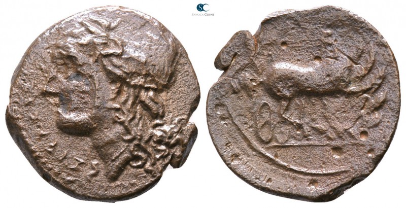 Sicily. Syracuse. Hiketas II 287-278 BC. 
Hemilitron Æ

18mm., 3,71g.



...