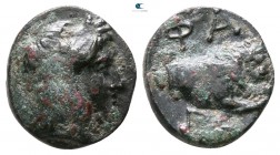 Macedon. Phagres circa 400-350 BC. Bronze Æ