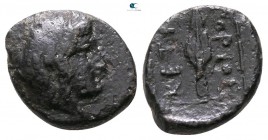 Kings of Thrace. Uncertain mint. Ketriporis circa 356-352 BC. Chalkous Æ