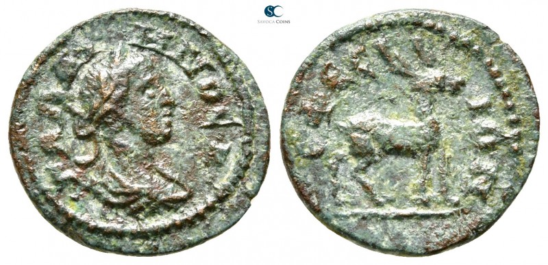 Ionia. Ephesos. Gallienus AD 253-268. 
Bronze Æ

15mm., 1,72g.



very fi...